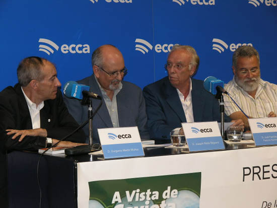 a vista de gaviota 1